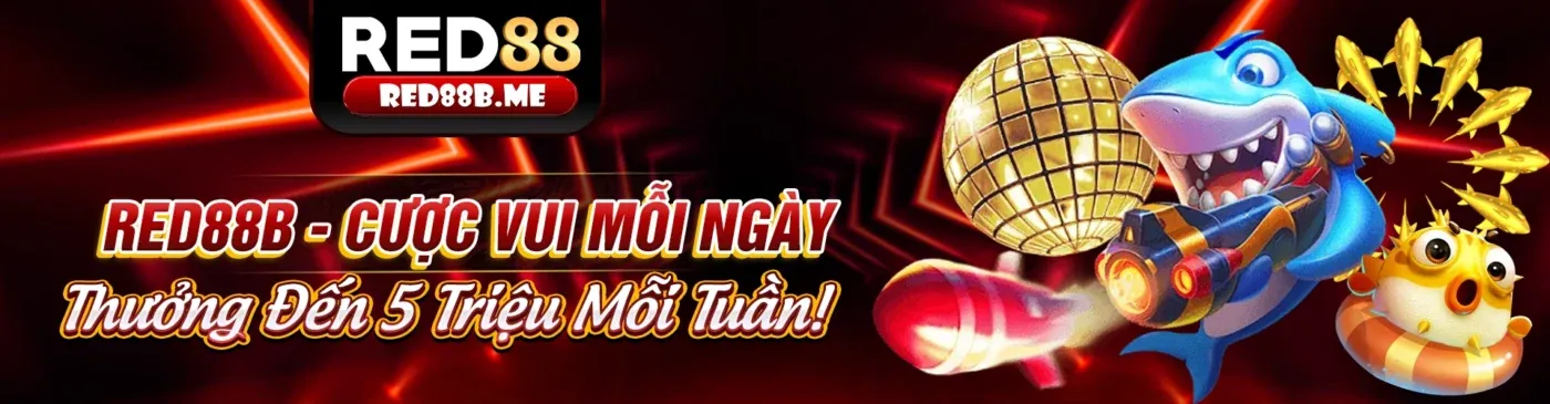 Các loại cookie được sử dụng bởi e2bet win